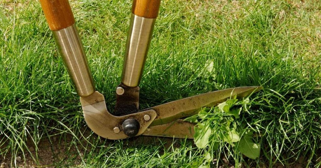 Rasenkantenstecher - Perfekte Rasenkanten mit Leichtigkeit und